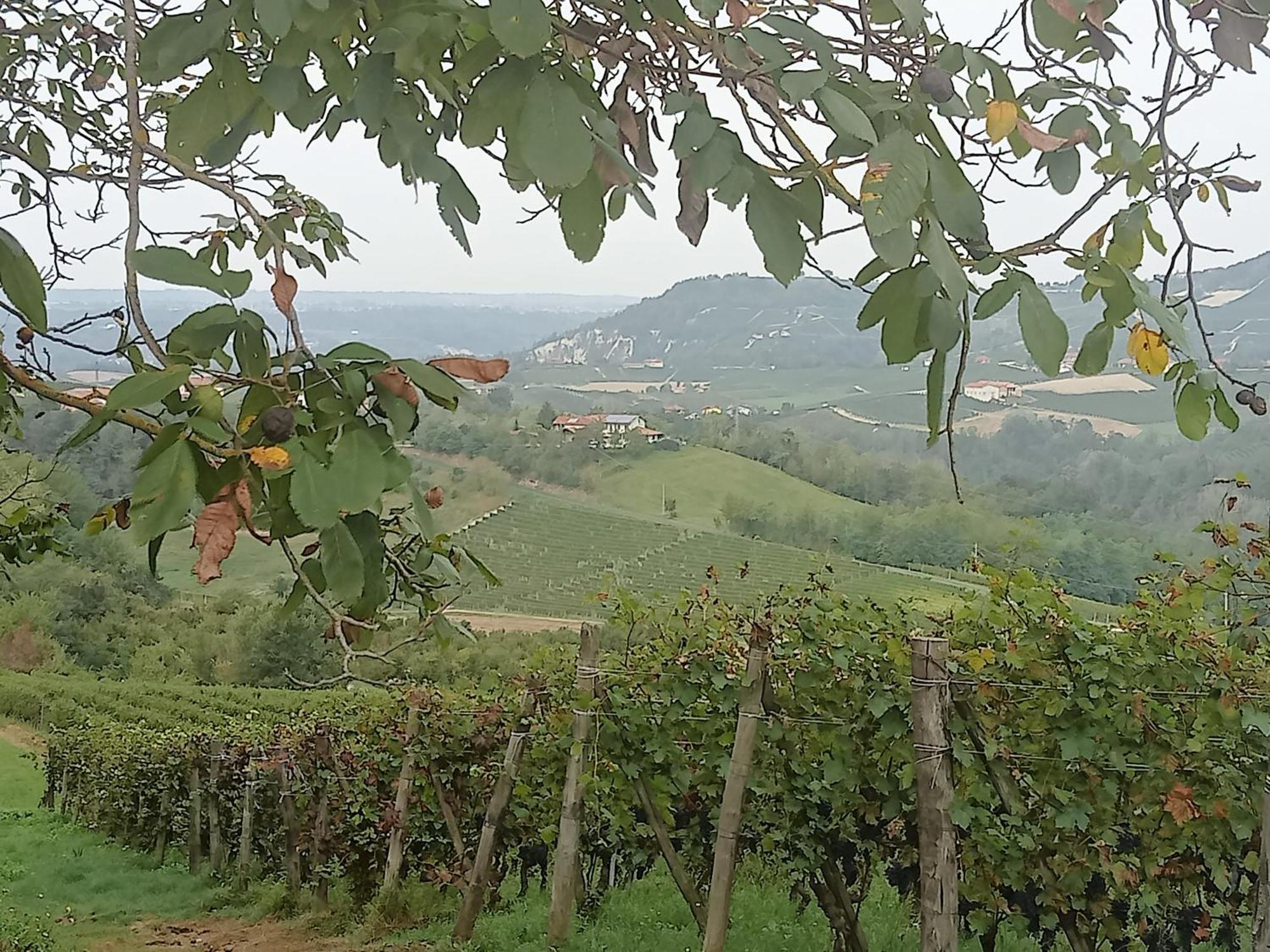 Agriturismo Bric Di Gai Monforte dʼAlba Extérieur photo