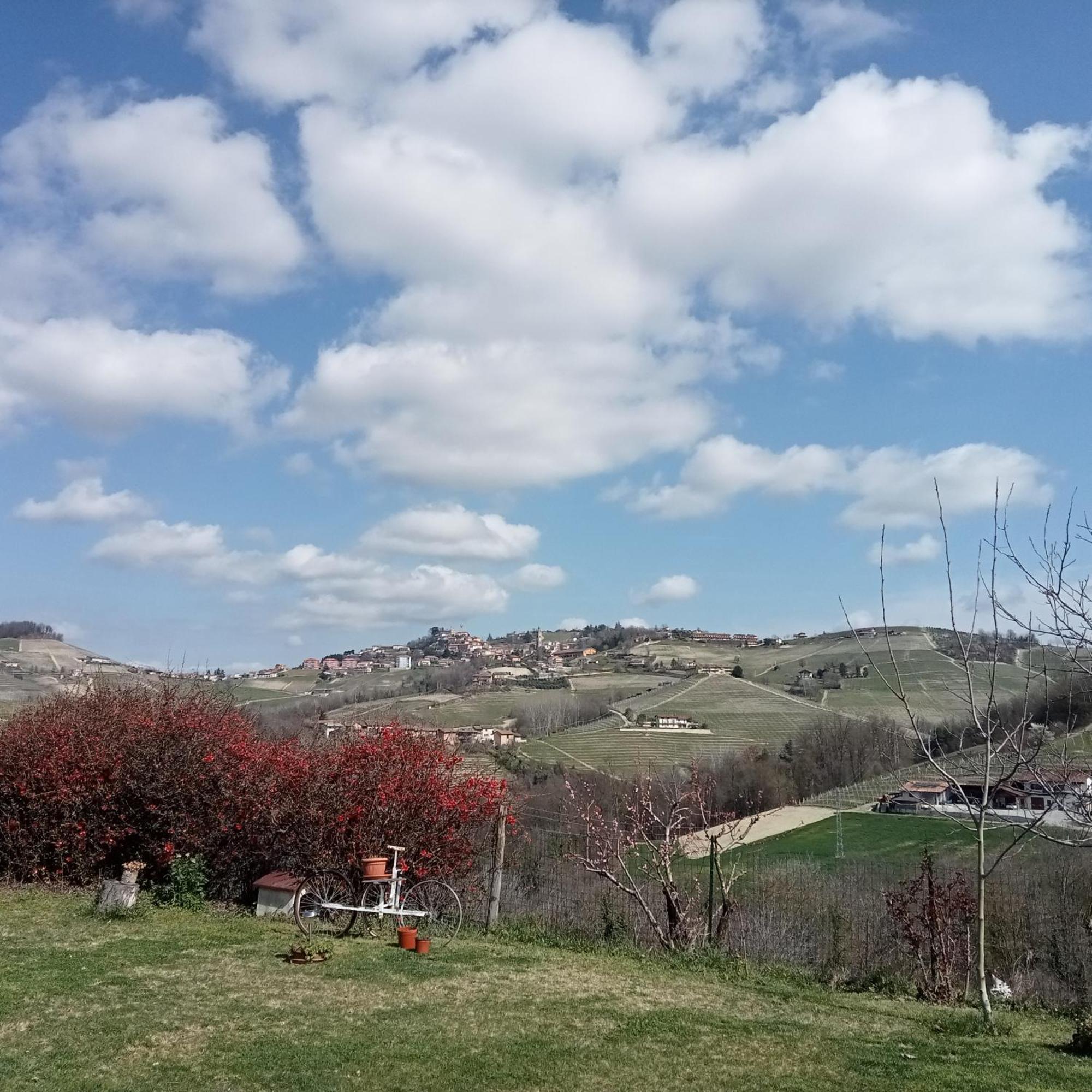 Agriturismo Bric Di Gai Monforte dʼAlba Chambre photo